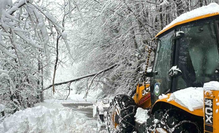Ordu’da karla mücadele: 1 günde 457 mahalle yolu ulaşıma açıldı