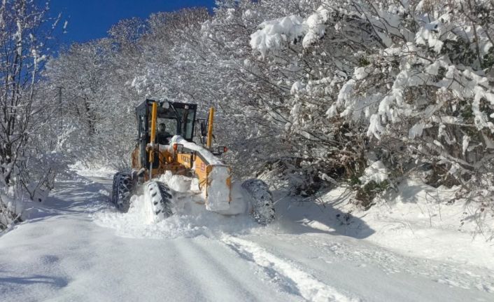 Ordu’da karla mücadele: 3 günde toplam 18 bin km yol ulaşıma açıldı