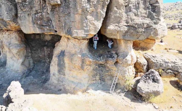 Piknik yapan ailenin ihbarıyla aydınlığa kavuşan cinayete ilişkin iddianame hazırlandı: 2 sanığa ağırlaştırılmış müebbet istemi