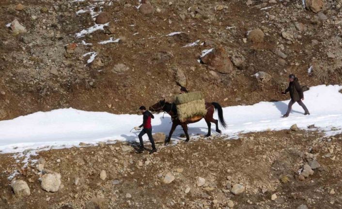 Prof. Dr. Lokman Aslan: "Yaban hayvanlarına yiyecek bırakmak ekolojik dengeyi bozuyor"