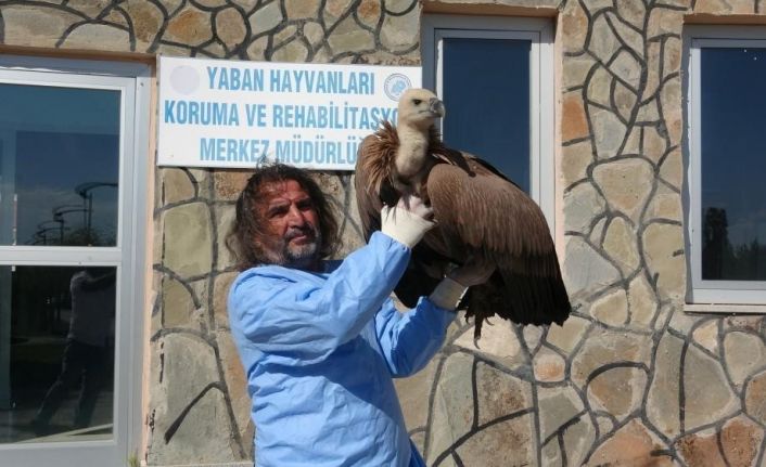Prof. Dr. Lokman Aslan’dan kritik uyarı: "Yaban hayatına müdahale merhamet değil tehlikedir"