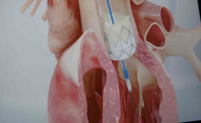 Prof. Dr. Pekdemir: "Gençlerde ani ölümlerin yüzde 90’ı genetik nedenlerden kaynaklanıyor"