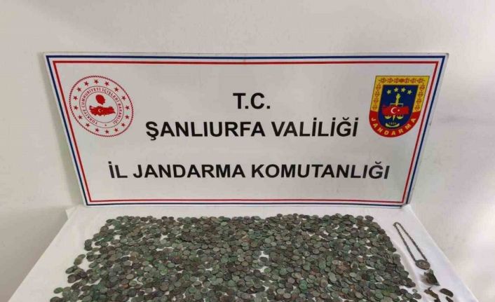 Şanlıurfa’da 2 bin 644 adet gümüş ve bronz sikke ele geçti