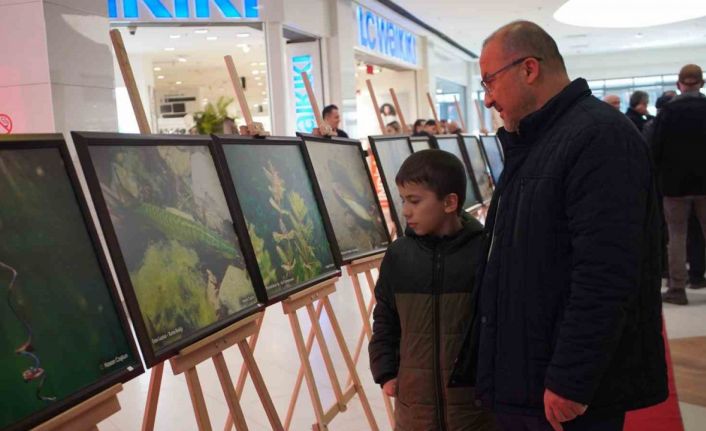 Sapanca Gölü fotoğrafları Gazze için umuda dönüştü: Geliri yetim ve öksüz çocuklara bağışlanacak