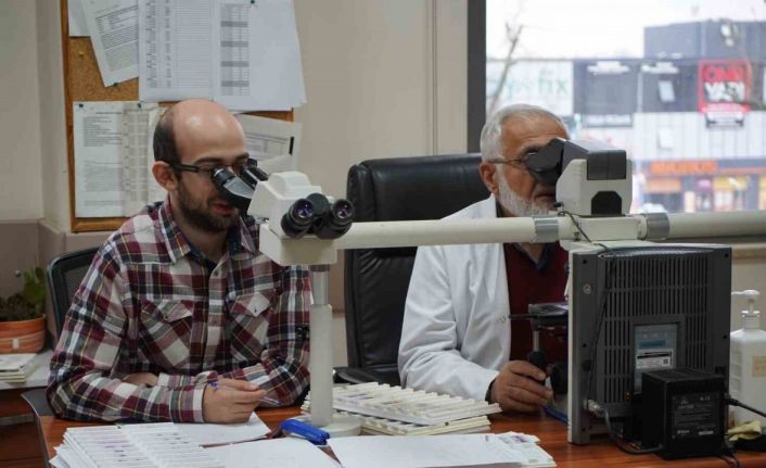 Tıbbın "hakim ve savcısı" patologlar: Hastalıkların son tanısını onlar koyuyor