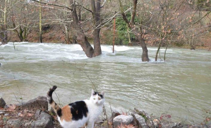 Toroslar’da yağış bereketi kuruyan Üzümdere Irmağını yeniden canlandırdı, şelaleler coştu