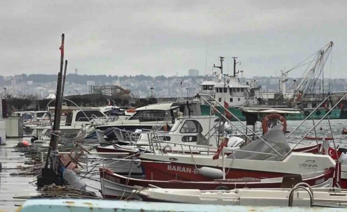 Uyanık lüfer Karadeniz zekasını kullandı: Denizlerde bol ama ağlara girmiyor