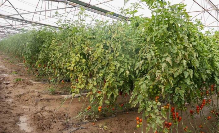 Aksu’da sağanak, sel, hortum ve doludan 23 mahalle, 500 çiftçi zarar gördü