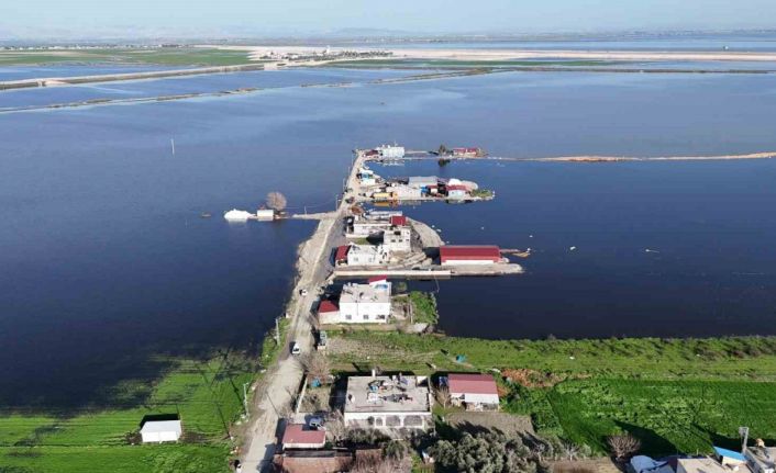 Amik Ovası’nda şiddetli yağışla birlikte tarım arazileri ve evler günlerdir sular altında