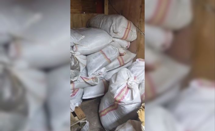 Arnavutköy’de depoya baskın: 1 ton kaçak tütün ele geçirildi, 1 gözaltı