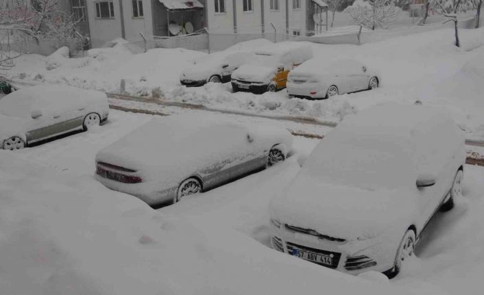 Bitlis’te 165 köy yolu kardan kapandı