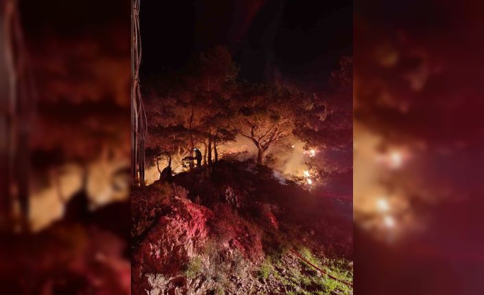 Bodrum’da ormanlık alanda yangın: 2 dönüm alan zarar gördü