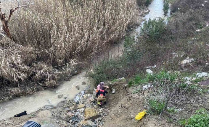 Dere yatağına düşen oğlağı kurtarmak isteyen kadın mahsur kaldı