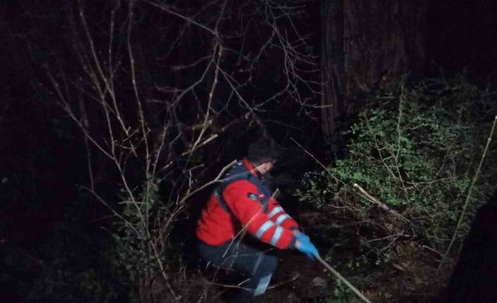 Dereye uçan operatörü kurtaran 4 itfaiye personeli, oksijen zehirlenmesi yaşadı