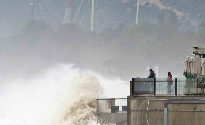 Dev dalgalar sahili dövdü: Martılar balık, define avcıları kıymetli eşya aradı