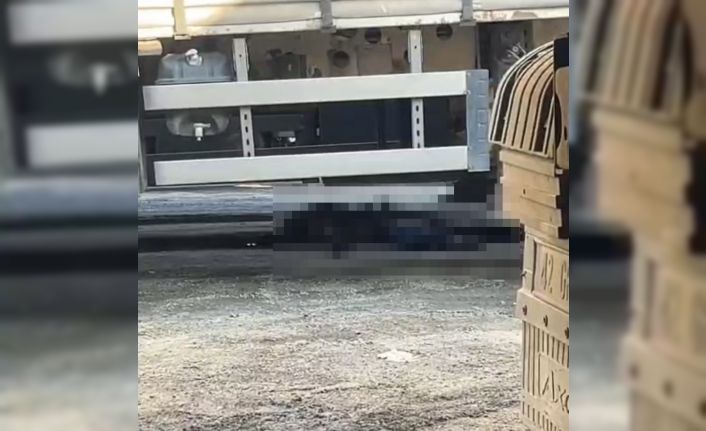 İzmir’de geri manevra yapan tırın altında kalan şoför hayatını kaybetti