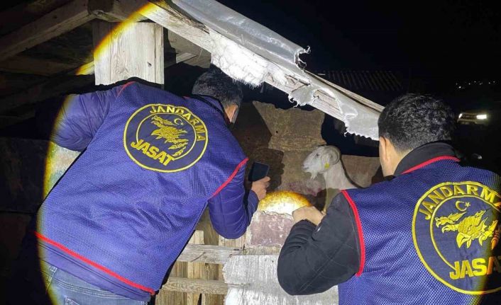 Jandarma kayıp 5 koyun için 3 iş yeri ve 9 meskene ait toplam 24 saatlik güvenlik kamerasını saniye saniye inceledi