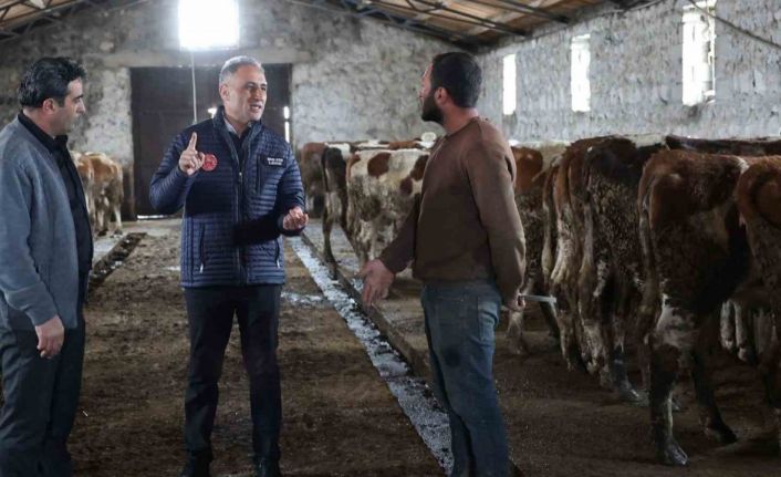 Kars Tarım ve Orman Müdürlüğü sahada: Bayraktar Köyü’nde büyükbaş işletmesine ziyaret