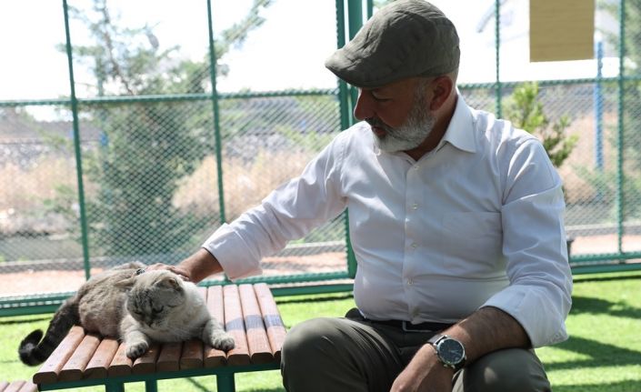 Kayseri’de ilk ve tek küçük dostları Kedi Kasabası, ziyaretçi rekoru kırıyor