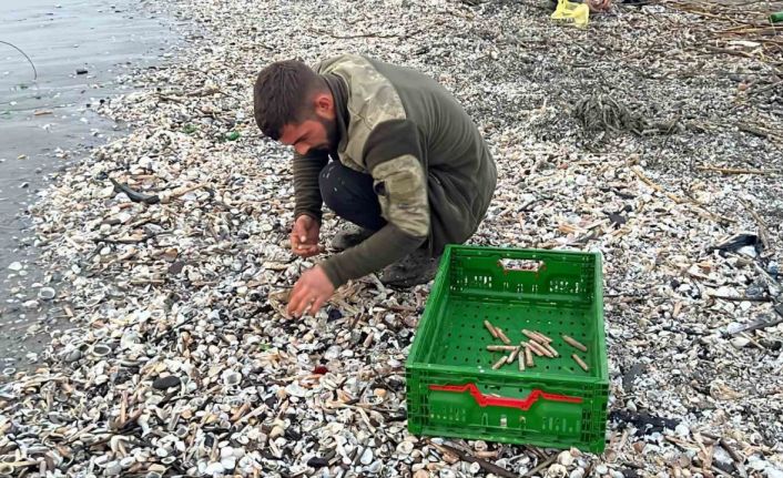 Mersin’de fırtına sonrası binlerce kargı midyesi sahile vurdu: Balıkçılar tek tek topladı
