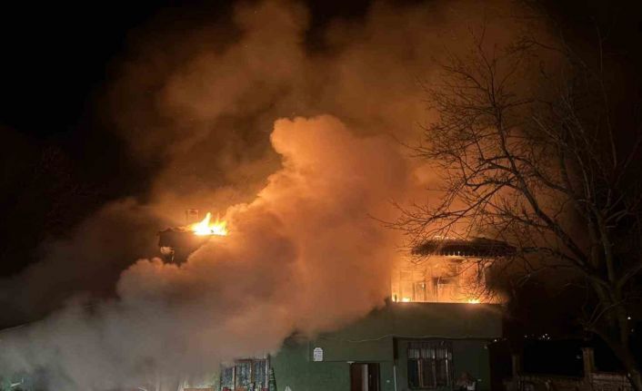 Ordu’da ambarda çıkan yangın marangoz atölyesi ve ahırı küle çevirdi