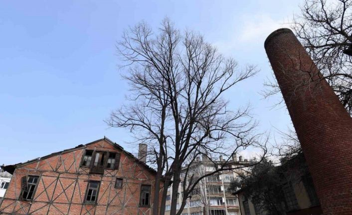 Osmangazi’de Roman Gal ve Arkeo Park projeleri Bursa’nın kültür hayatına kazandırılıyor