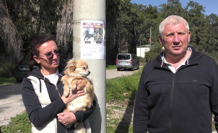 Rus sahipleri, kaybolan köpeklerini sokak sokak arıyor: Canlı bulana 100 bin, ölü bulana 10 bin ödül