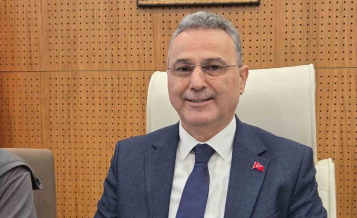 Samsun’da konteynerde bulunan 9 köpekle ilgili rapor açıklandı: "Doğal ölüm"