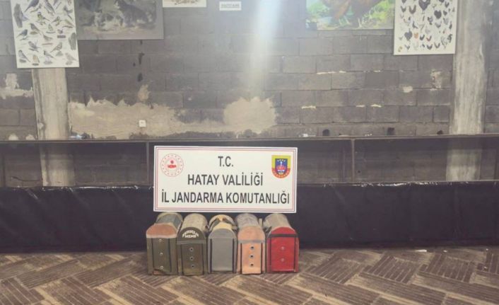 Süs Kanatlı Sokak Hayvanları Koruma Derneği’nde horoz dövüştürerek kumar oynayan 76 kişiye ceza yağdı