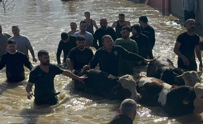 Taşan Gediz Nehri dolayısıyla mahsur kalan 44 kişi ve 127 hayvan kurtarıldı