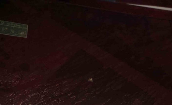 Trabzonspor: "Sporcularımızın ve teknik heyetimizin can güvenliği açık şekilde tehdit altındadır"