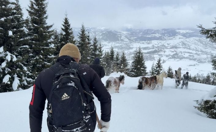 2 bin 100 rakımlı kışlada aylarca kar altında mahsur kalan atları köyün gençleri kurtardı
