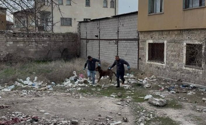 3 yaşındaki çocuğuna köpek saldıran baba: "Köpeğin çocuğumuzu bırakması için çok uğraştık"