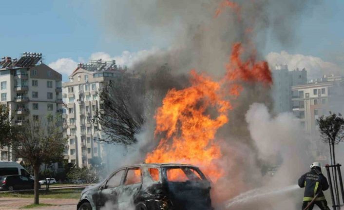 Alev topuna dönen araçtan kedisiyle birlikte son anda çıktı: Sahibinin omuzundan bir an olsun ayrılmadı
