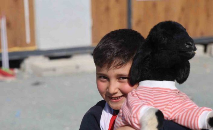 Annesi doğumda telef olan ’Boncuk’ kuzu, elbisesi ve biberonuyla ilgi odağı oldu