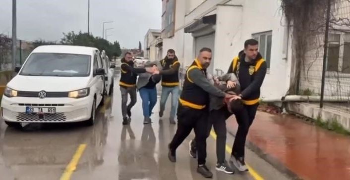 Atlara eziyet edenlere dikkat çeken ceza: Haftada 1 gün barınak temizleyecekler