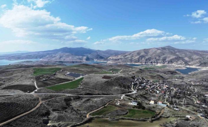 Başkan Çolakbayrakdar: "Türkiye’de ağaç dikmede rekor kırdık, şimdi yeni bir rekor için çalışıyoruz"