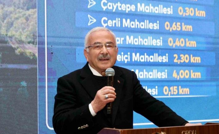 Başkan Güler: "19 ilçede Ordu üst kimliği ile hareket ediyoruz"