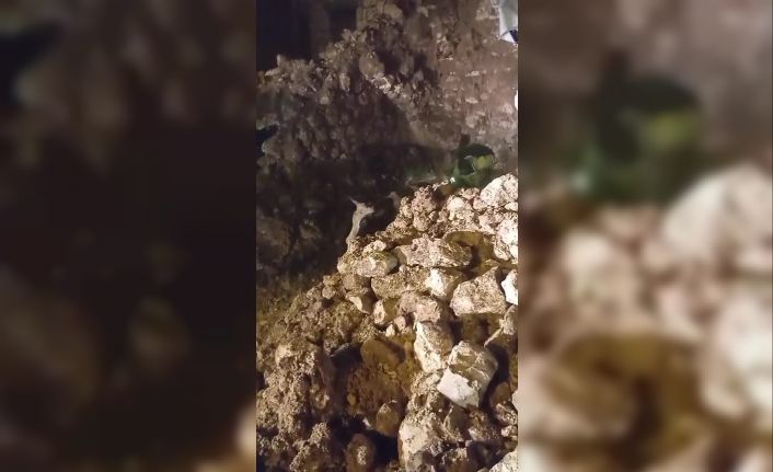 Batman’da fırtınada 2 katlı taş bina çöktü: Enkaz altında kalan 5 büyükbaş hayvan kurtarıldı