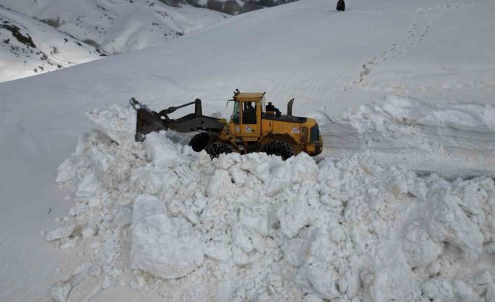 Bitlis’te 5 metreyi bulan karda yol açma çalışması