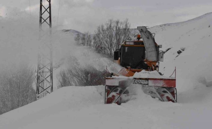 Bitlis’te 6,5 metrelik kar yağışına rağmen 20 bin kilometre yol açıldı