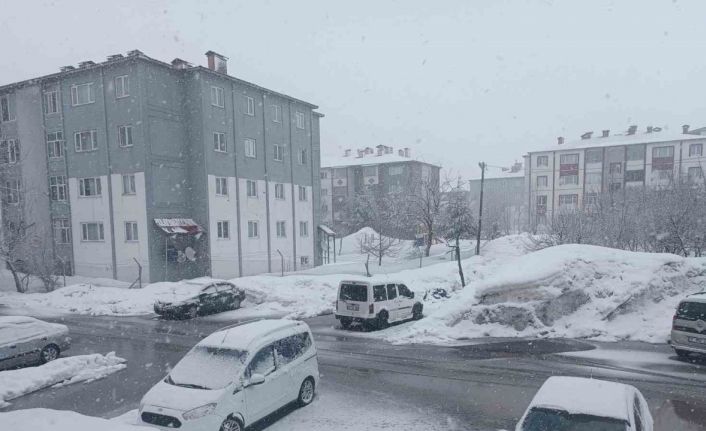 Bitlis’te kar yağışı