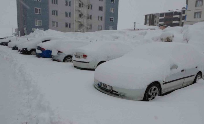 Bitlis’te mart karı 288 köy yolu ulaşıma kapattı