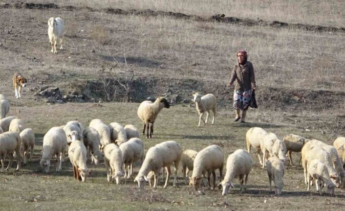 Bursa’da boğazından bıçaklanarak öldürülen kadının eski görüntüleri ortaya çıktı