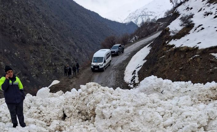 Çatak’ta çığ düştü: 1 mahalle ve 8 mezraya ulaşımı sağlanamıyor