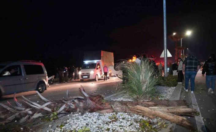 Çevre yolunda yarış yapan lüks araç hakimiyetini kaybetmesi sonucu önce refüjdeki ağaca ardından karşı şeride geçerek takla attı