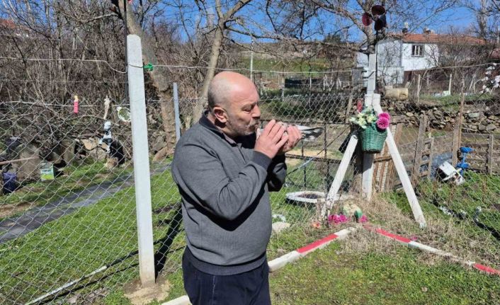 Çocukluğundan bu yana güvercin tutkunu olan adam: "Bir ev parasına kuş veren var"