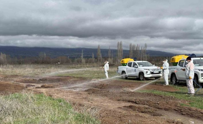 Çorum Belediyesi’nden yaz öncesi vektörle yoğun mücadele