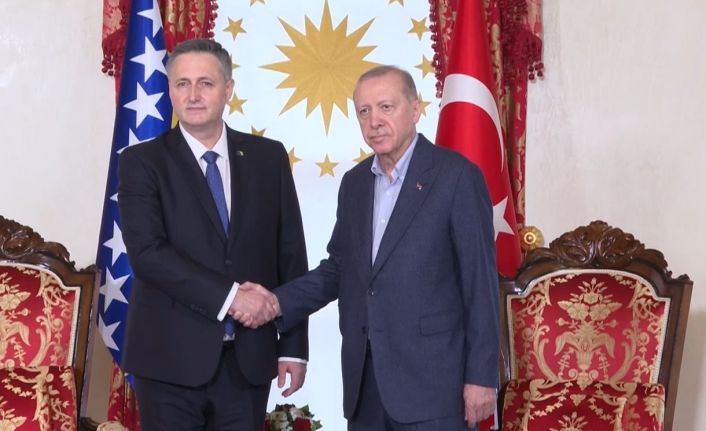Cumhurbaşkanı Erdoğan, Bosna Hersek Devlet Başkanlığı Konseyi Başkanı Becirovic ile bir araya geldi