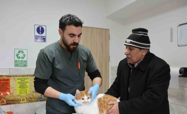 Cumhuriyet tarihinin ilk fakültesine ait hastanede, bir yılda 9 bin 600 hayvan şifa buldu